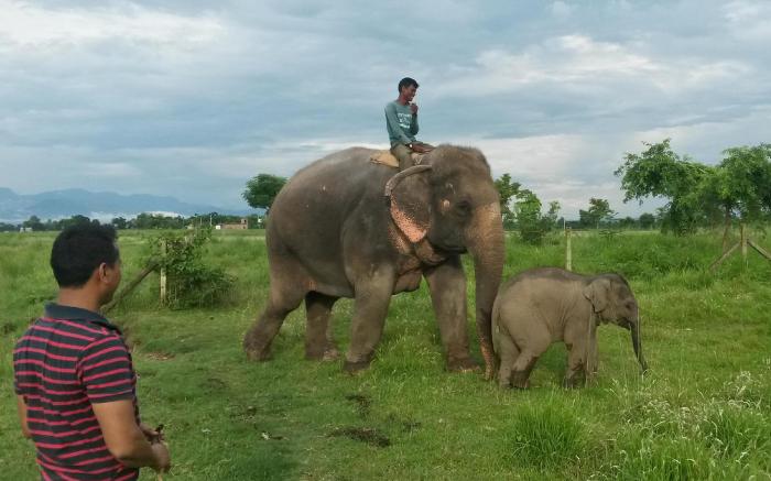 Hotel Sapana Village Lodge Chitwan