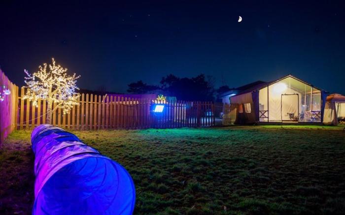 Dangjin Dogpelis Glamping