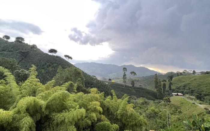 Eco Hotel Glamping El Silencio