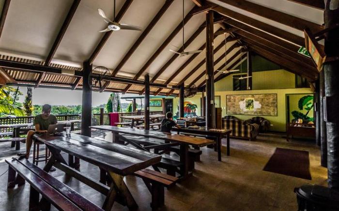 Jackaroo Treehouse Rainforest retreat