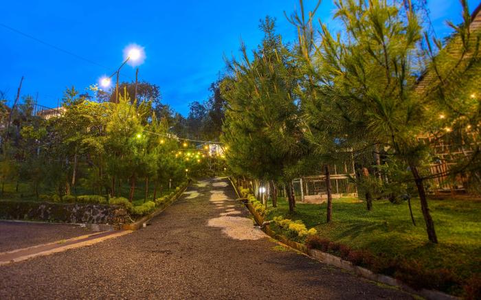 Miracle Signature Hills