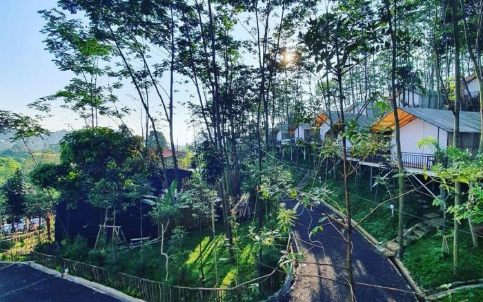 Miracle Signature Hills