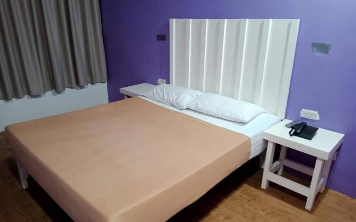 The Purple Tree Hostel