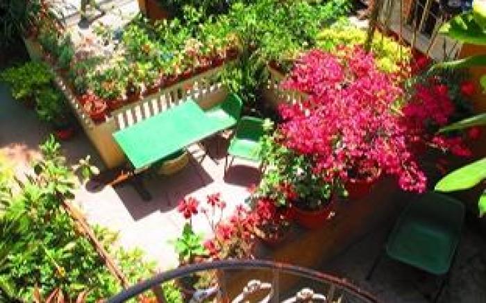 Souvenir Guest House