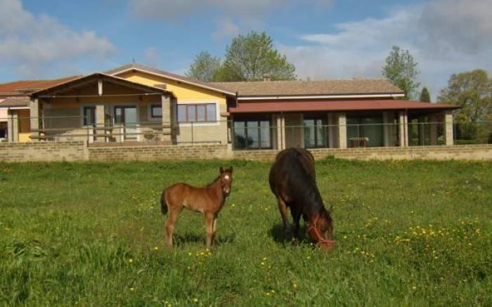 Agriturismo L.B.STUD