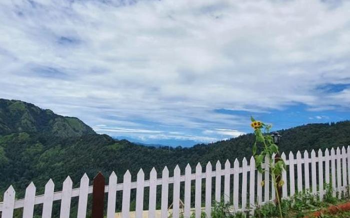 Himaaksh cottages 