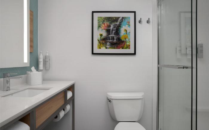 Hilton Garden Inn Atlanta West/Lithia Springs