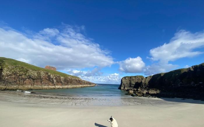Peninsula Cottage, pets welcome