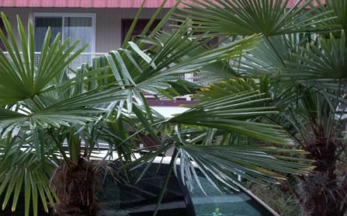 Express Inn & Suites Eugene