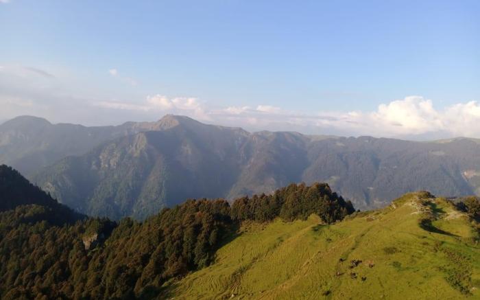 Mozo - Tree House Hostel Jibhi