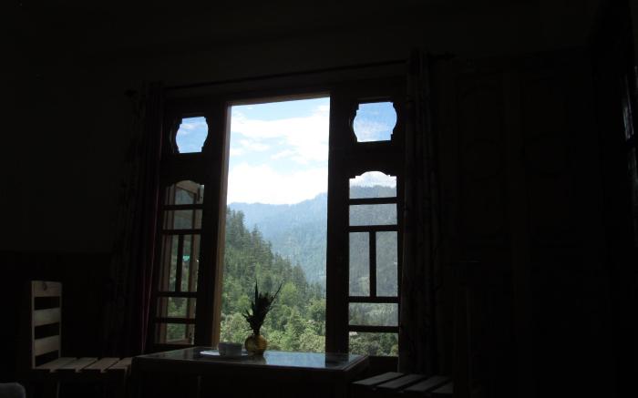 Mozo- tree house hostel