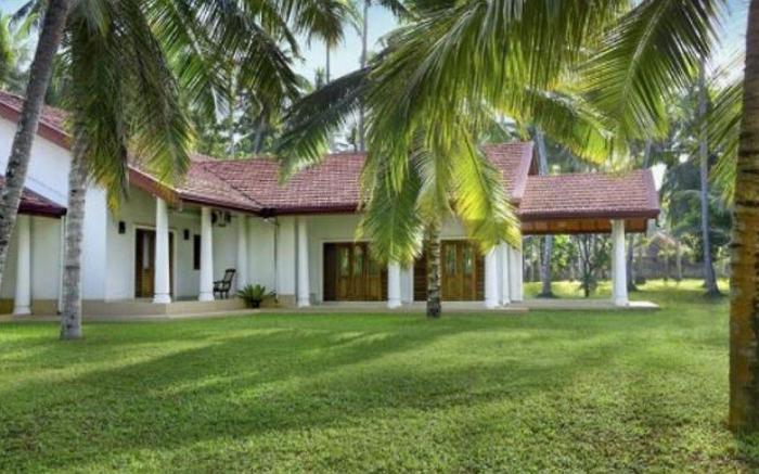 Coco Villa Peach Tree