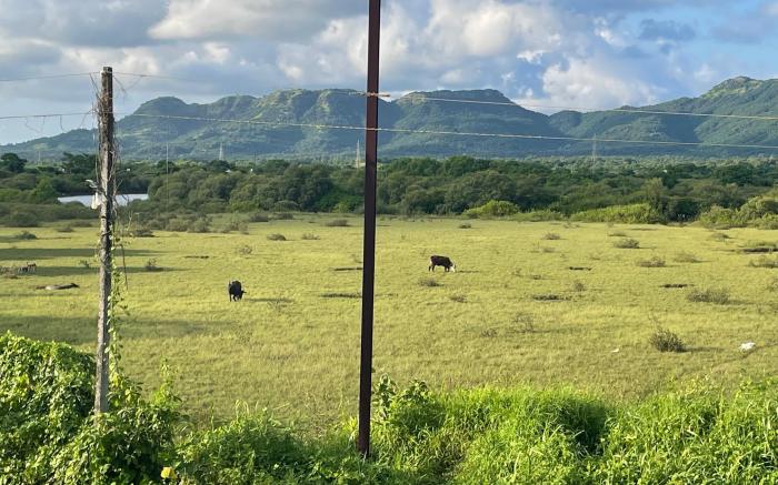 Mauli Retreat, Alibaug