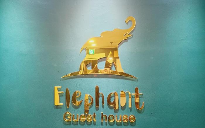 Elephant Hostel