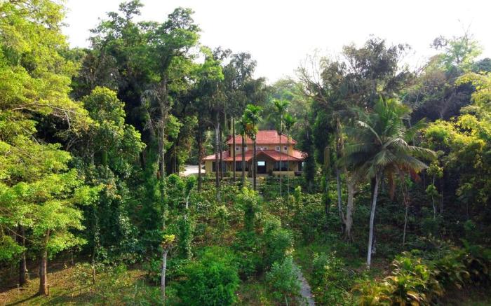 SaffronStays Coorg Toddy Farms