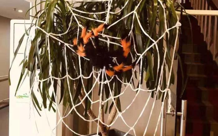 ibis Wuxi Jiangnan University