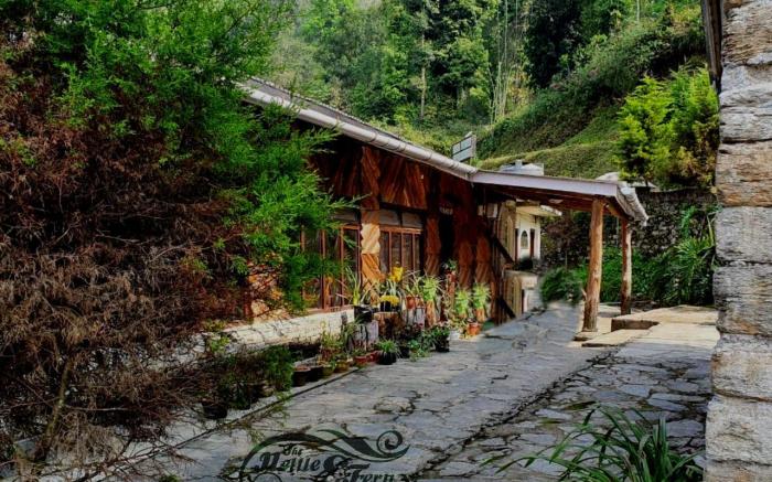The Nettle and Fern Farmstay