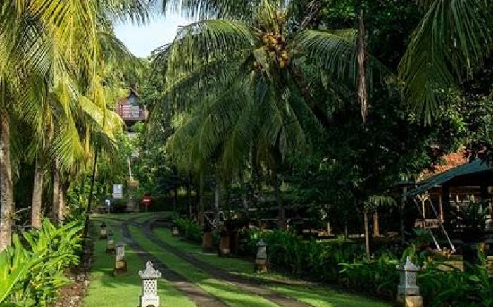 Bella Vista Premium Homestay