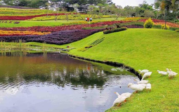Pet-friendly 3BR Mountain View Villa Vimala Hills