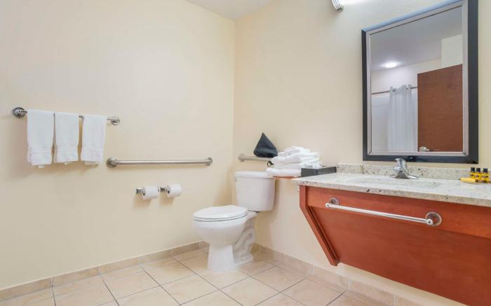 Best Western Plus Flowood Inn & Suites