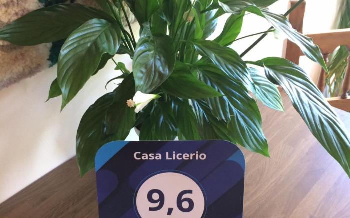 Casa Rural Licerio - Samos