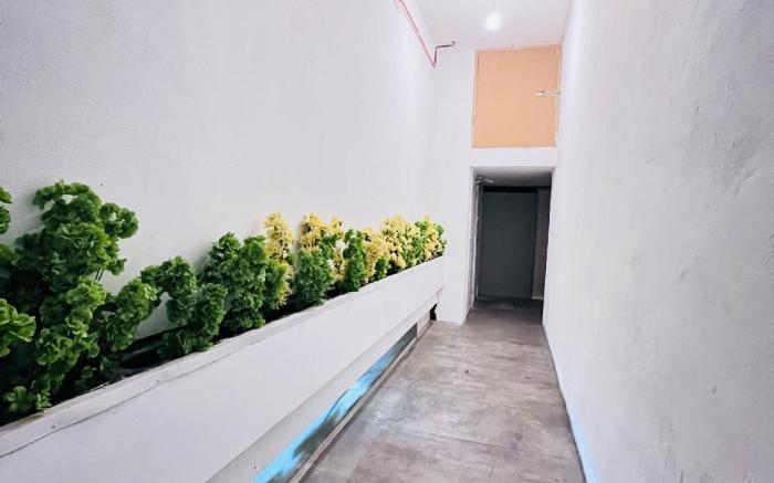Private Boutique Apartments London