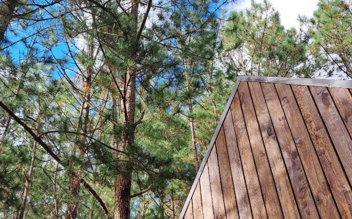 Mơ Stay - Forest Resort