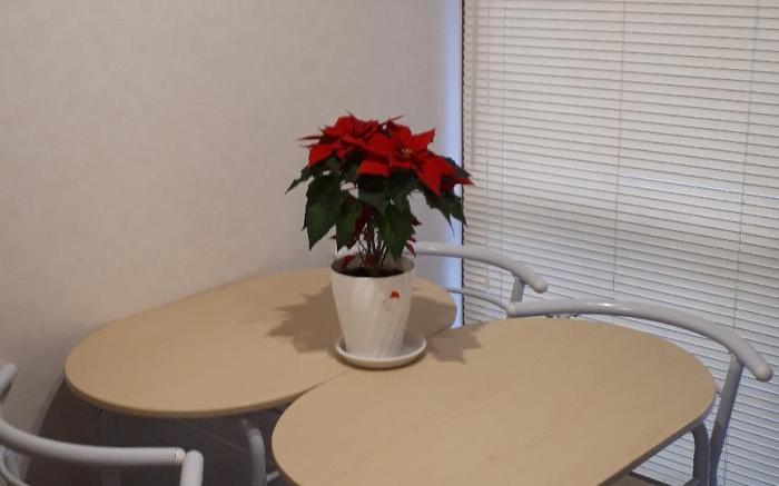 Guest House Studio 51