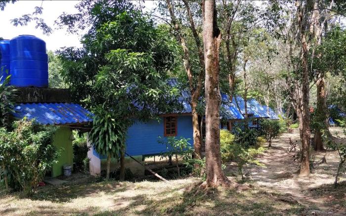 P Mild Bungalow: Standard Room 1