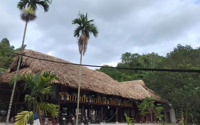 Bee Lucky Homestay Cat Ba