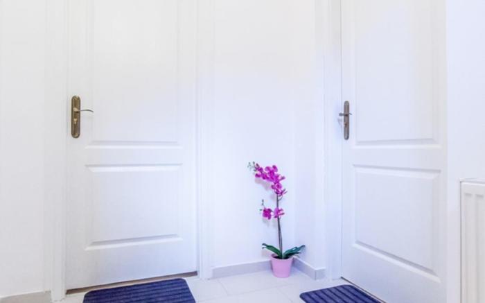 Real Apartments Vadasz 