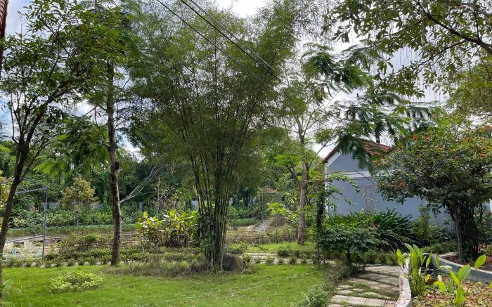 SON HOME GARDEN