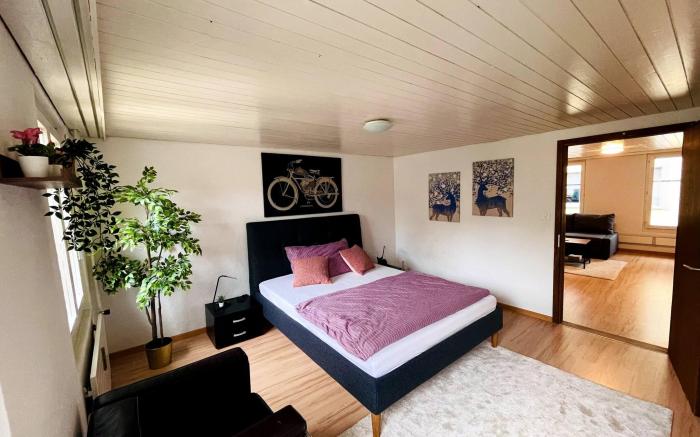 Newly furnished beautiful old building apartment in the center with Apple TV