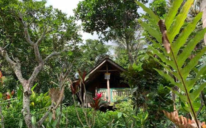 Rice hut
