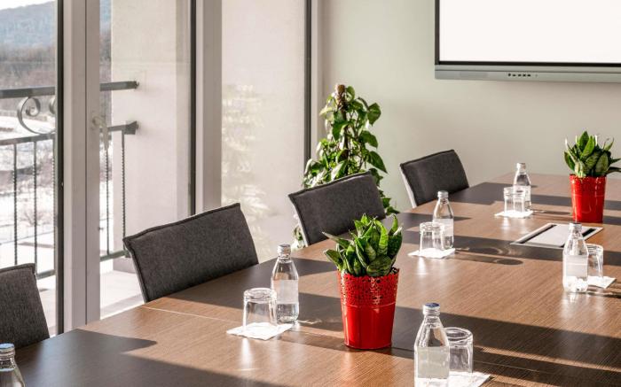 Mövenpick Resort & Spa Fruske Terme