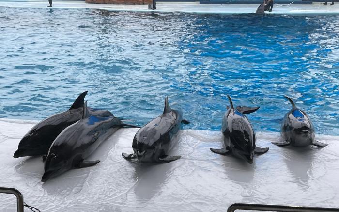 Kawafuu, Minasanoyado, surrounded by rivers and mountains