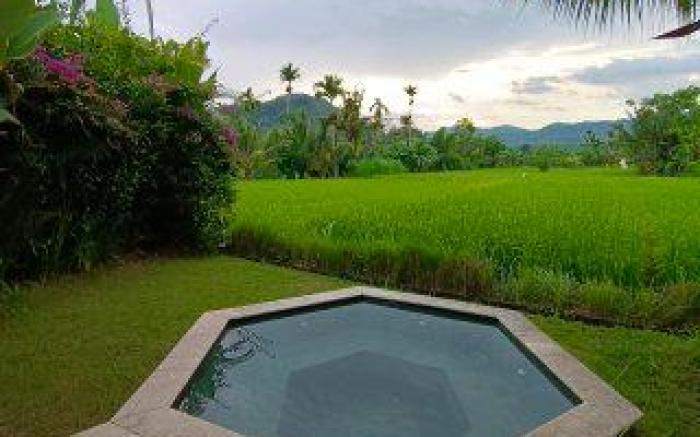 Sunrise Paradise Bali