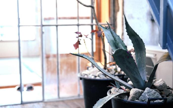 chAho Hostel Nirasaki / Outdoor Base