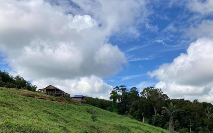 Natural House Farm Stay 
