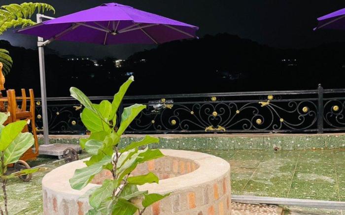 Pine Forest House Da Lat