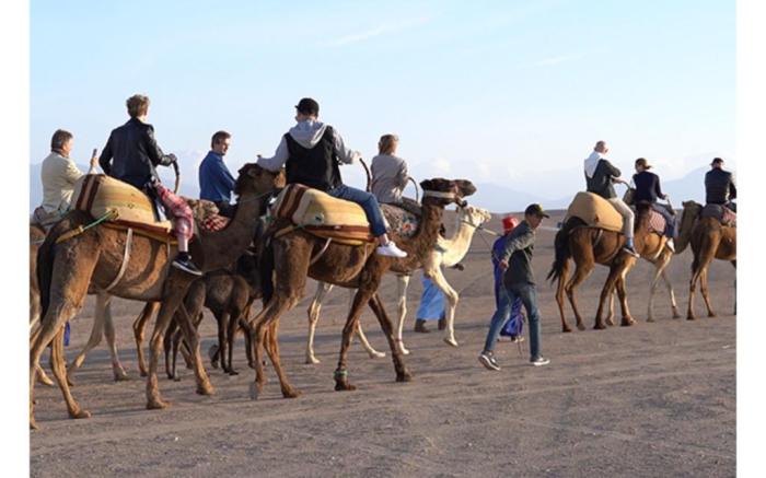 LE BEDOUIN AGAFAY