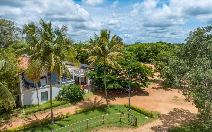 Olive Farm @ Embassy International Riding School
