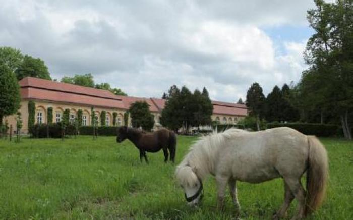 Palatul Brukenthal Avrig