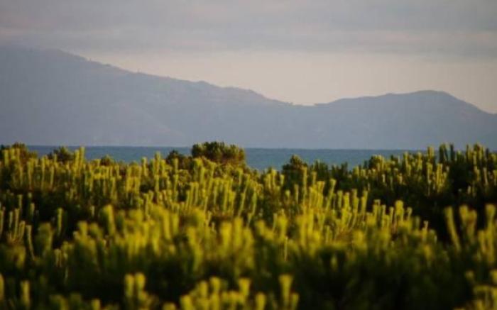 Mareblu - Tuscany Green Aparthotel
