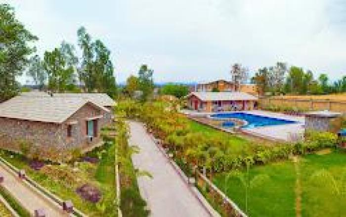 The Banyan Retreat