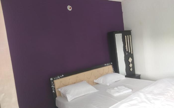 City and Palace view guest house