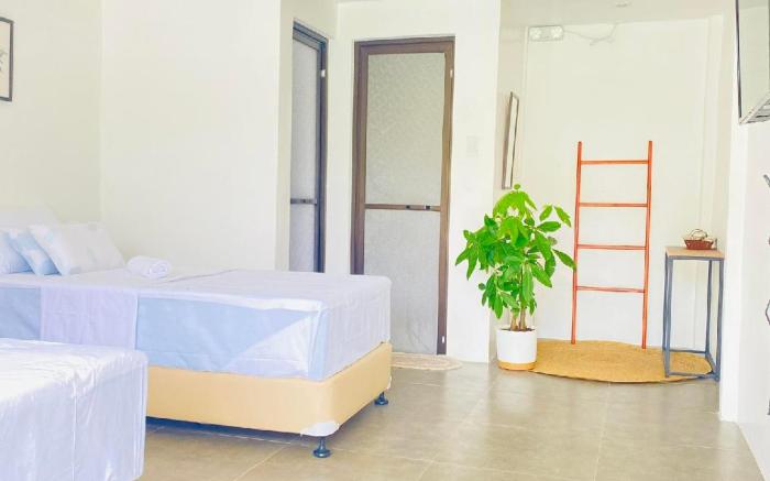 Canna Boutique Hostel