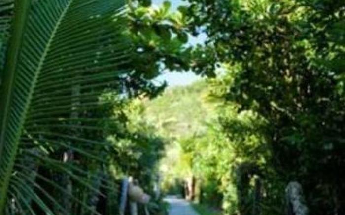 Grajagan Surf Resort