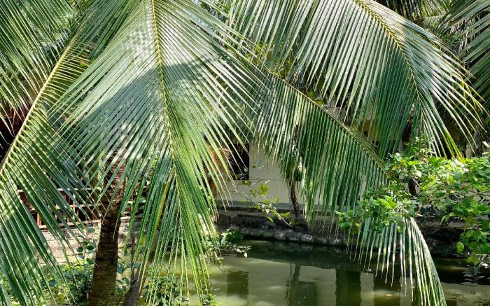 Khách sạn Sao Mai Bến Tre