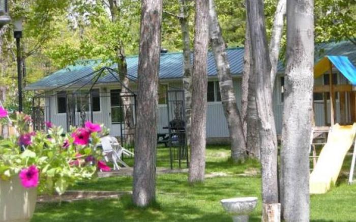 Birch Haven by the Beach